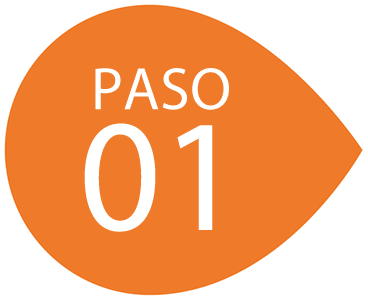 Paso 1