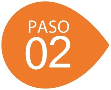 Paso 2